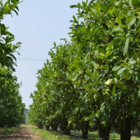 濾芯更換不及時(shí)的后果...
